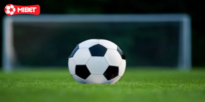 Sơ lược về kèo cược xiên hấp dẫn tại Mibet