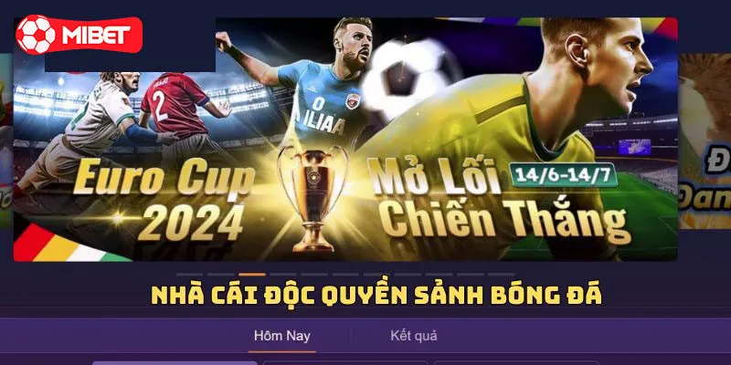 Giới thiệu tổng quan về thể thao Mibet