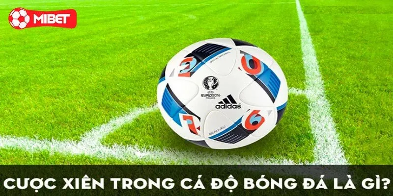 Cách tính điểm cược xiên dễ hiểu