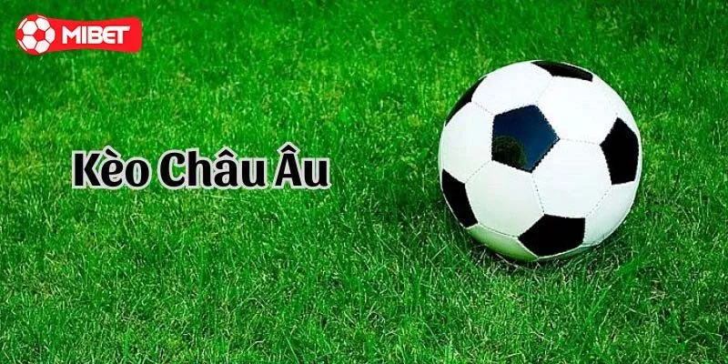 Kinh nghiệm chơi cá cược kèo Châu Âu tại Mibet